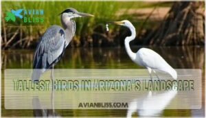 tallest birds in arizona's landscape