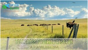 tallgrass prairie preserve