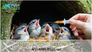 temporary diet suggestions