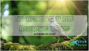 the importance of head movements in birds