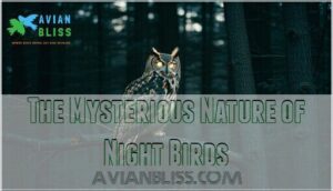 the mysterious nature of night birds