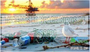 threats to beach birds of florida
