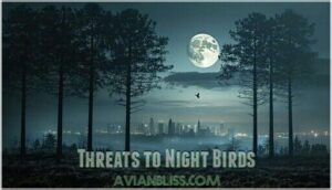 threats to night birds