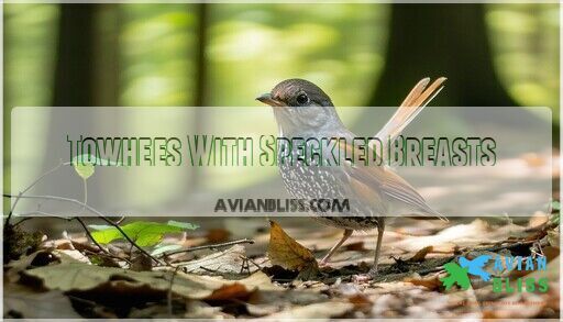 Birds With Speckled Breasts: Complete ID Guide With Photos (2025)