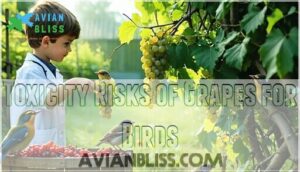 toxicity risks of grapes for birds