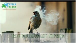 tracheal rales and coughing tracheal rales and coughing