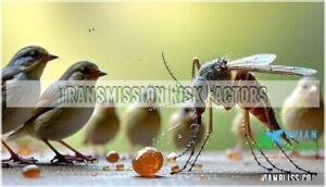 transmission risk factors