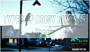 types of noisy birds at night