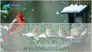 types of red birds in wisconsin