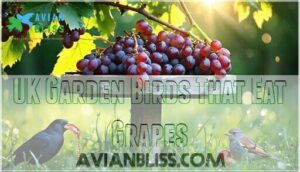 uk garden birds that eat grapes