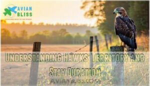understanding hawks' territory and stay duration