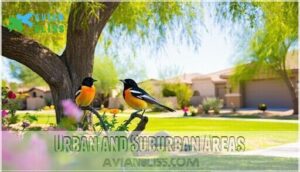 urban and suburban areas