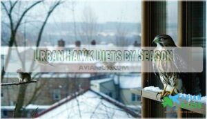 urban hawk diets by season