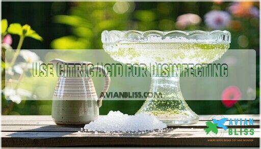 Homemade Bird Bath Cleaner Recipe: Natural DIY Solutions That Work
