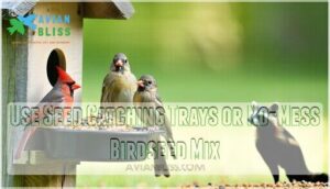 use seed catching trays or no-mess birdseed mix