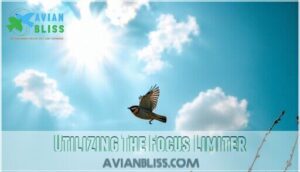 utilizing the focus limiter