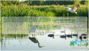 water birds in illinois