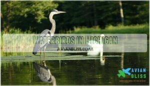 waterbirds in michigan