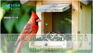 what cardinals look for in a bird feeder
