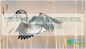 what is a bull sprig