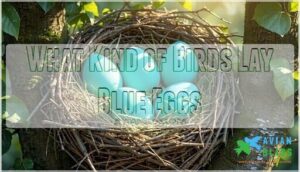 what kind of birds lay blue eggs