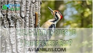 what kind of bugs do woodpeckers eat
