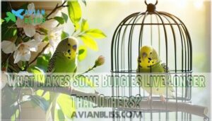 what makes some budgies live longer than others