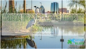 where to spot large birds in arizona