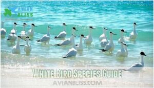 white bird species guide