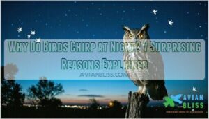 why do birds chirp at night why do birds chirp at night