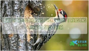 why do woodpeckers peck wood