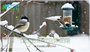 winter backyard birds