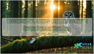 wisconsin owl sounds