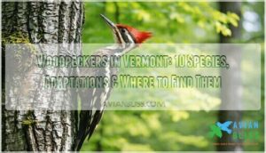 woodpeckers in vermont