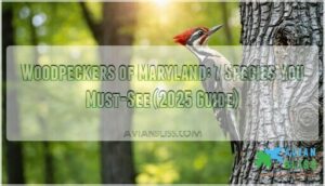 woodpeckers of maryland