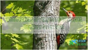 woodpeckers of tennessee