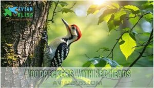 woodpeckers with red heads