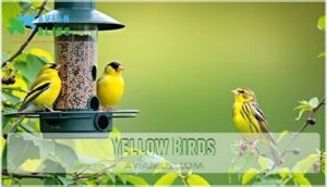 yellow birds
