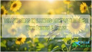 yellow birds in illinois