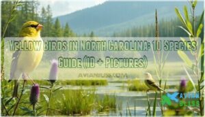 yellow birds in north carolina