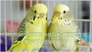 additional factors that can contribute to weight loss in budgies additional factors that can contribute to weight loss in budgies