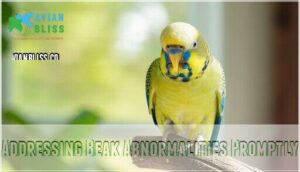 addressing beak abnormalities promptly