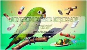 addressing hormonal changes and puberty