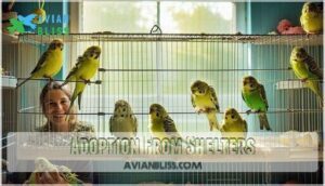 adoption from shelters