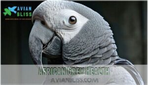 african grey health