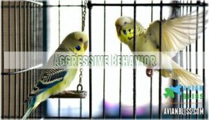 aggressive behavior