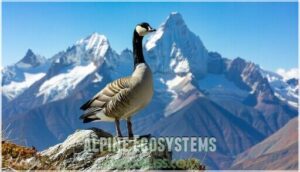 alpine ecosystems alpine ecosystems