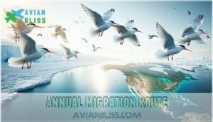 annual migration route