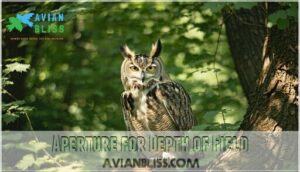 aperture for depth of field