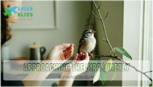 approaching the bird quietly